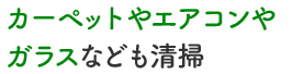 カーペットやエアコンやガラスなども清掃